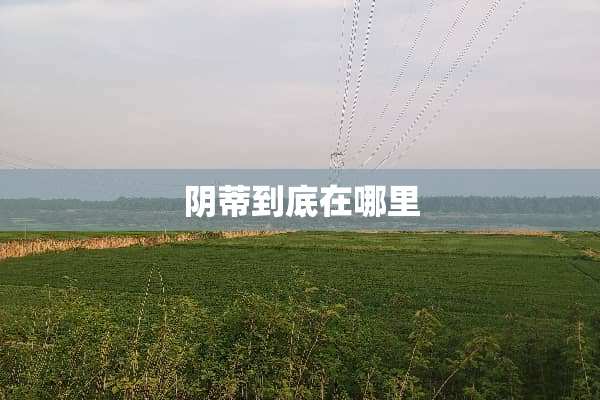 *蒂到底在哪里
