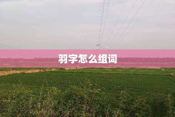羽字怎么组词