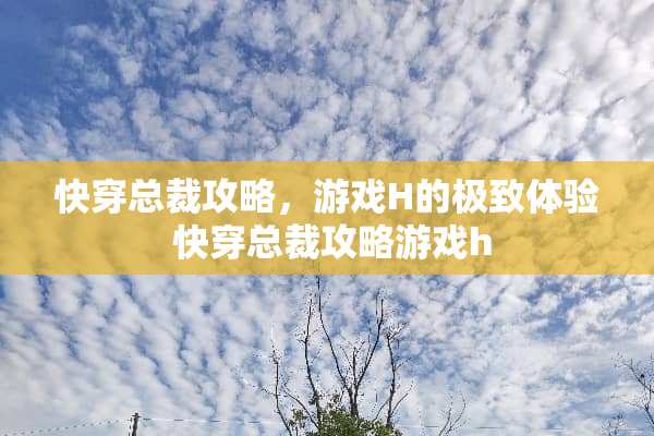 快穿总裁攻略，游戏H的极致体验 快穿总裁攻略游戏h