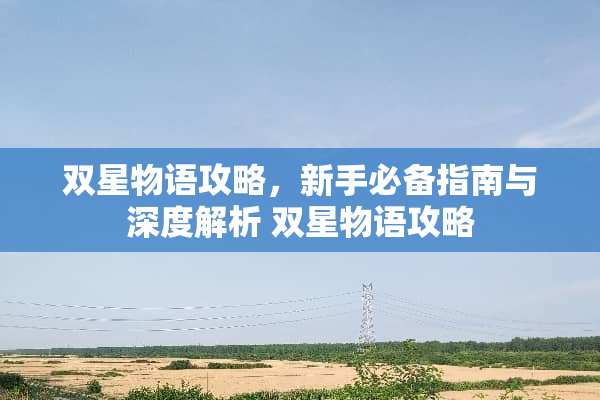 双星物语攻略，新手必备指南与深度解析 双星物语攻略