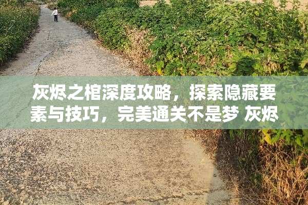 灰烬之棺深度攻略，探索隐藏要素与技巧，完美通关不是梦 灰烬之棺攻略