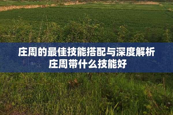 庄周的最佳技能搭配与深度解析 庄周带什么技能好