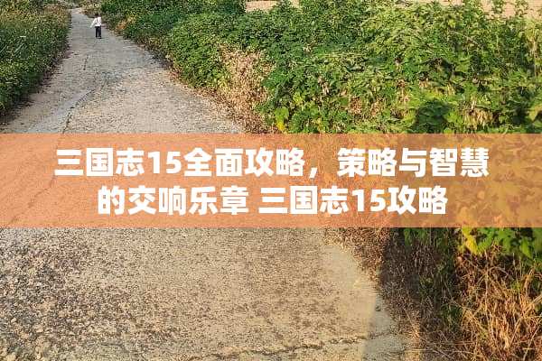 三国志15全面攻略，策略与智慧的交响乐章 三国志15攻略