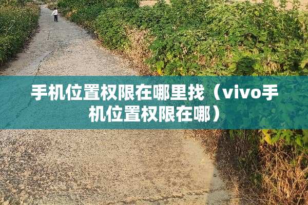 手机位置权限在***（vivo手机位置权限在哪）