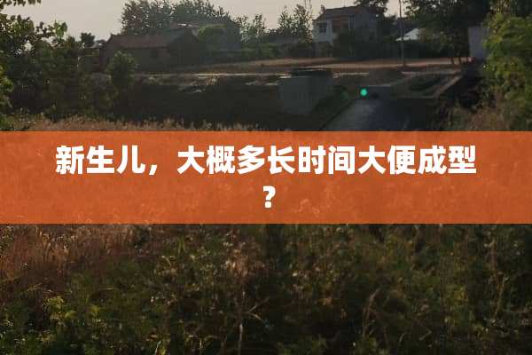 新生儿，大概多长时间大便成型？
