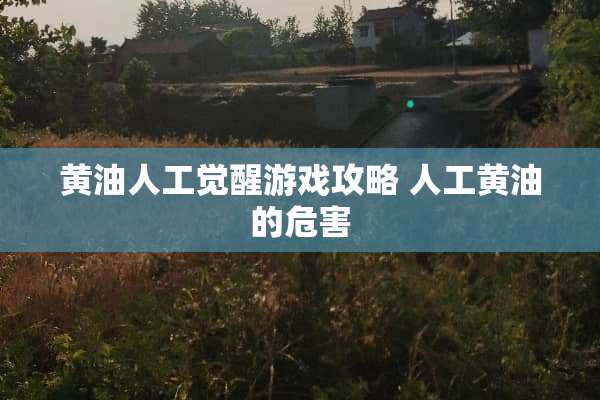 黄油人工觉醒游戏攻略 人工黄油的危害