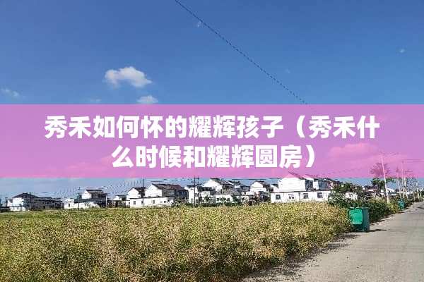 秀禾如何怀的耀辉孩子（秀禾什么时候和耀辉圆房）