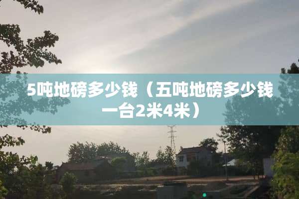 5吨**多少钱（五吨**多少钱一台2米4米）