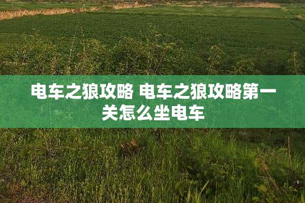 电车之狼攻略 电车之狼攻略第一关怎么坐电车