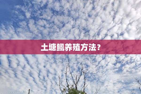 土塘鲺养殖方法？