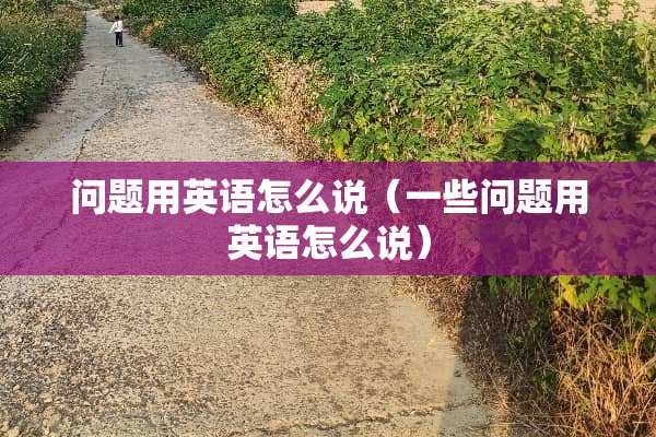 问题用英语怎么说（一些问题用英语怎么说）