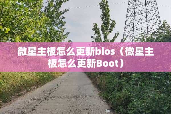 微星主板怎么更新bios（微星主板怎么更新Boot）
