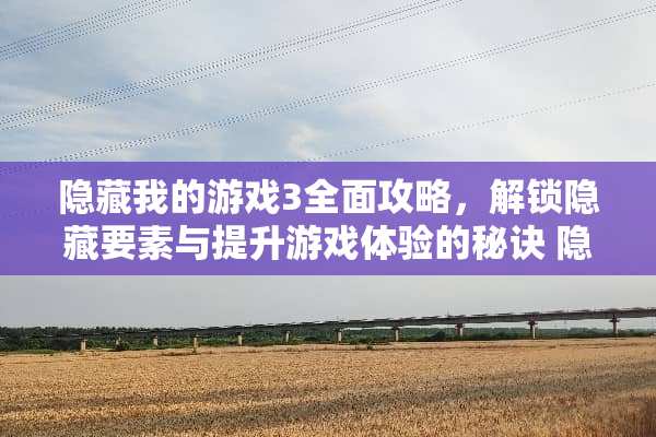 隐藏我的游戏3全面攻略，解锁隐藏要素与提升游戏体验的秘诀 隐藏我的游戏3攻略