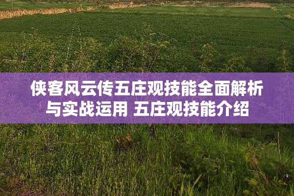 侠客风云传五庄观技能全面解析与实战运用 五庄观技能介绍