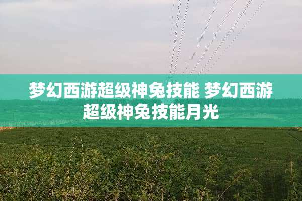 梦幻西游超级神兔技能 梦幻西游超级神兔技能月光