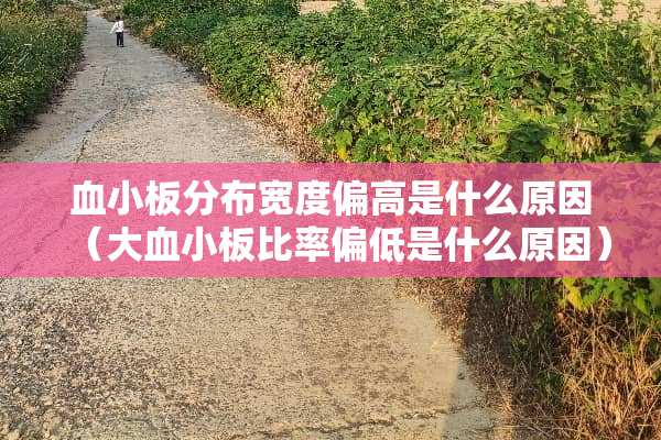 血小板分布宽度偏高是什么原因（大血小板比率偏低是什么原因）