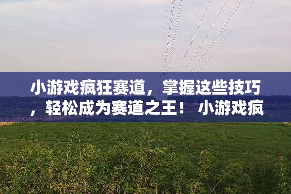 小游戏疯狂赛道，掌握这些技巧，轻松成为赛道之王！ 小游戏疯狂赛道攻略
