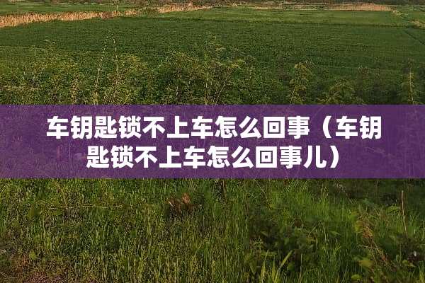 车钥匙锁不上车怎么回事（车钥匙锁不上车怎么回事儿）