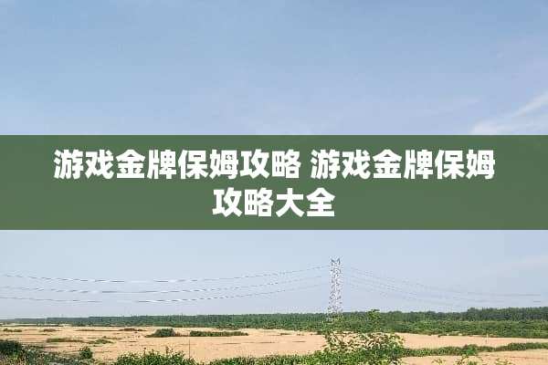 游戏金牌保姆攻略 游戏金牌保姆攻略大全