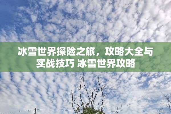 冰雪世界探险之旅，攻略大全与实战技巧 冰雪世界攻略
