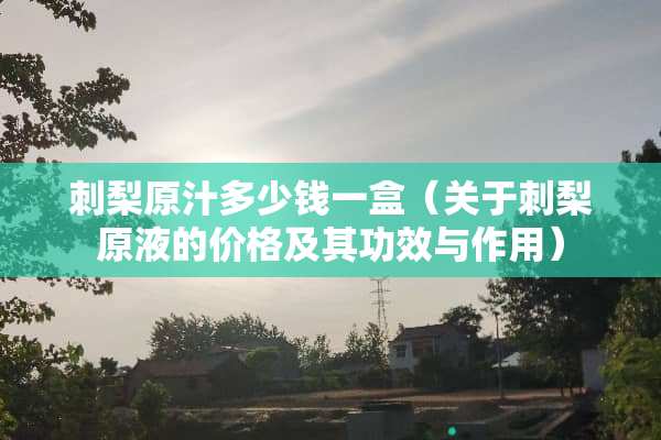 刺梨原汁多少钱一盒（关于刺梨原液的价格及其功效与作用）