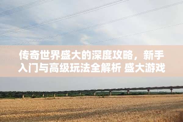 传奇世界盛大的深度攻略，新手入门与高级玩法全解析 盛大游戏官网攻略