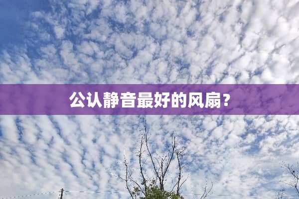 公认静音最好的风扇？