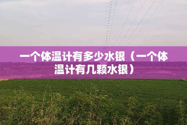 一个体温计有多少水银（一个体温计有几颗水银）