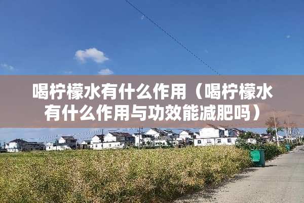 喝柠檬水有什么作用（喝柠檬水有什么作用与功效能减肥吗）
