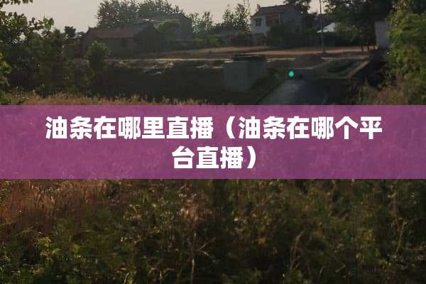 油条在哪里直播（油条在哪个平台直播）