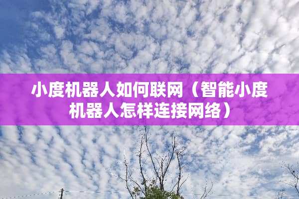 小度机器人如何联网（智能小度机器人怎样连接网络）