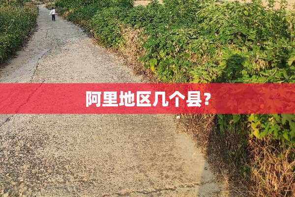 阿里地区几个县？
