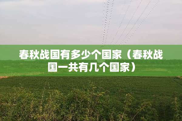 春秋战国有多少个国家（春秋战国一共有几个国家）