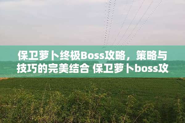 保卫萝卜终极Boss攻略，策略与技巧的完美结合 保卫萝卜boss攻略