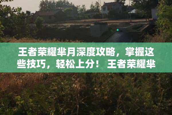 王者荣耀芈月深度攻略，掌握这些技巧，轻松上分！ 王者荣耀芈月攻略