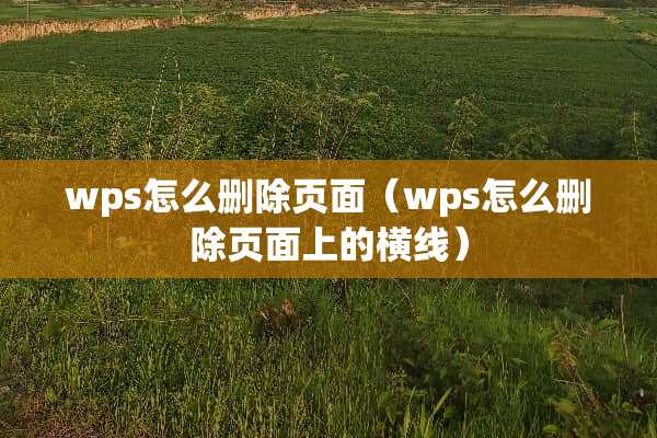 wps怎么删除页面（wps怎么删除页面上的横线）