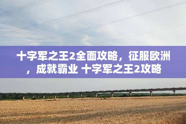 十字军之王2全面攻略，征服欧洲，成就霸业 十字军之王2攻略