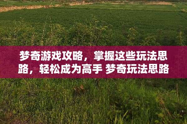 梦奇游戏攻略，掌握这些玩法思路，轻松成为高手 梦奇玩法思路