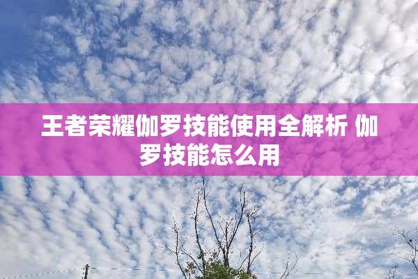 王者荣耀伽罗技能使用全解析 伽罗技能怎么用
