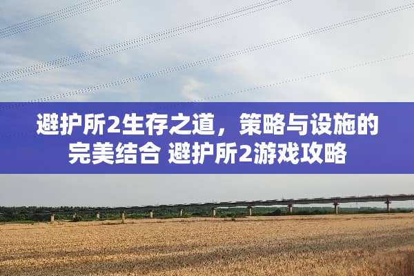 避护所2生存之道，策略与设施的完美结合 避护所2游戏攻略