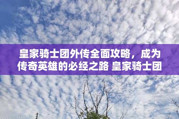 皇家骑士团外传全面攻略，成为传奇英雄的必经之路 皇家骑士团外传攻略