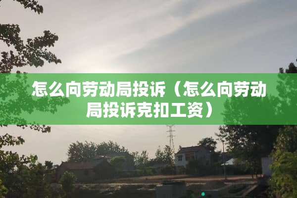 怎么向劳动局投诉（怎么向劳动局投诉克扣工资）