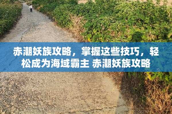 赤潮妖族攻略，掌握这些技巧，轻松成为海域霸主 赤潮妖族攻略