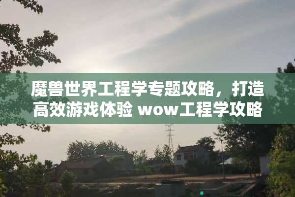 魔兽世界工程学专题攻略，打造高效游戏体验 wow工程学攻略