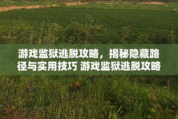游戏监狱逃脱攻略，揭秘隐藏路径与实用技巧 游戏监狱逃脱攻略