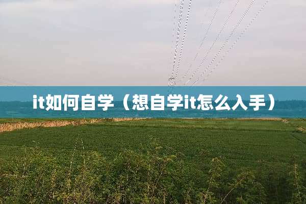 it如何自学（想自学it怎么入手）