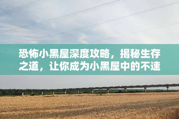 恐怖小黑屋深度攻略，揭秘生存之道，让你成为小黑屋中的不速之客 恐怖小黑屋攻略