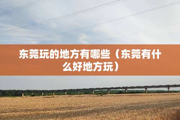 东莞玩的地方有哪些（东莞有什么好地方玩）