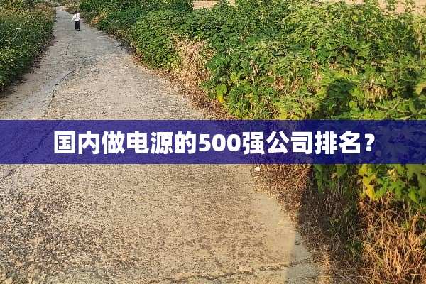 国内做电源的500强公司排名？