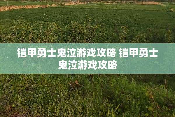 铠甲勇士鬼泣游戏攻略 铠甲勇士鬼泣游戏攻略
